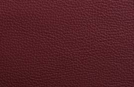polo-844.jpg